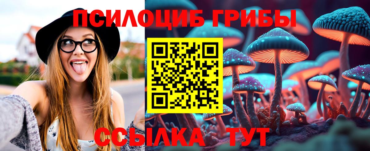 Псилоцибиновые грибы MAGIC MUSHROOMS  Псилоцибиновые грибы Cubensis  Волгодонск  Вход с VPN 